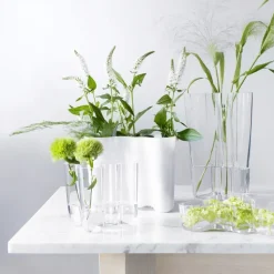 2 Jarrones Alvar Aalto, transparente