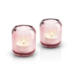 2 Portavelas Acorn, Rose