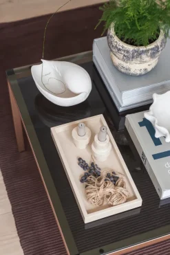 Adorno Conch concha, Small