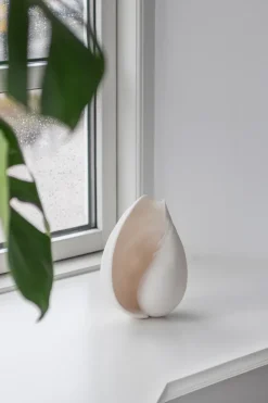 Adorno Conch concha, Small