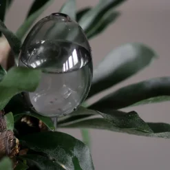 Autorriego Waterbubble, Clear