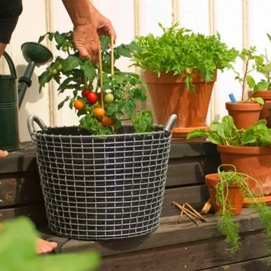 Cesta de alambre Korbo Classic 24, acero galvanizado