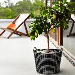 Cesta de alambre Korbo Classic 24, acero galvanizado