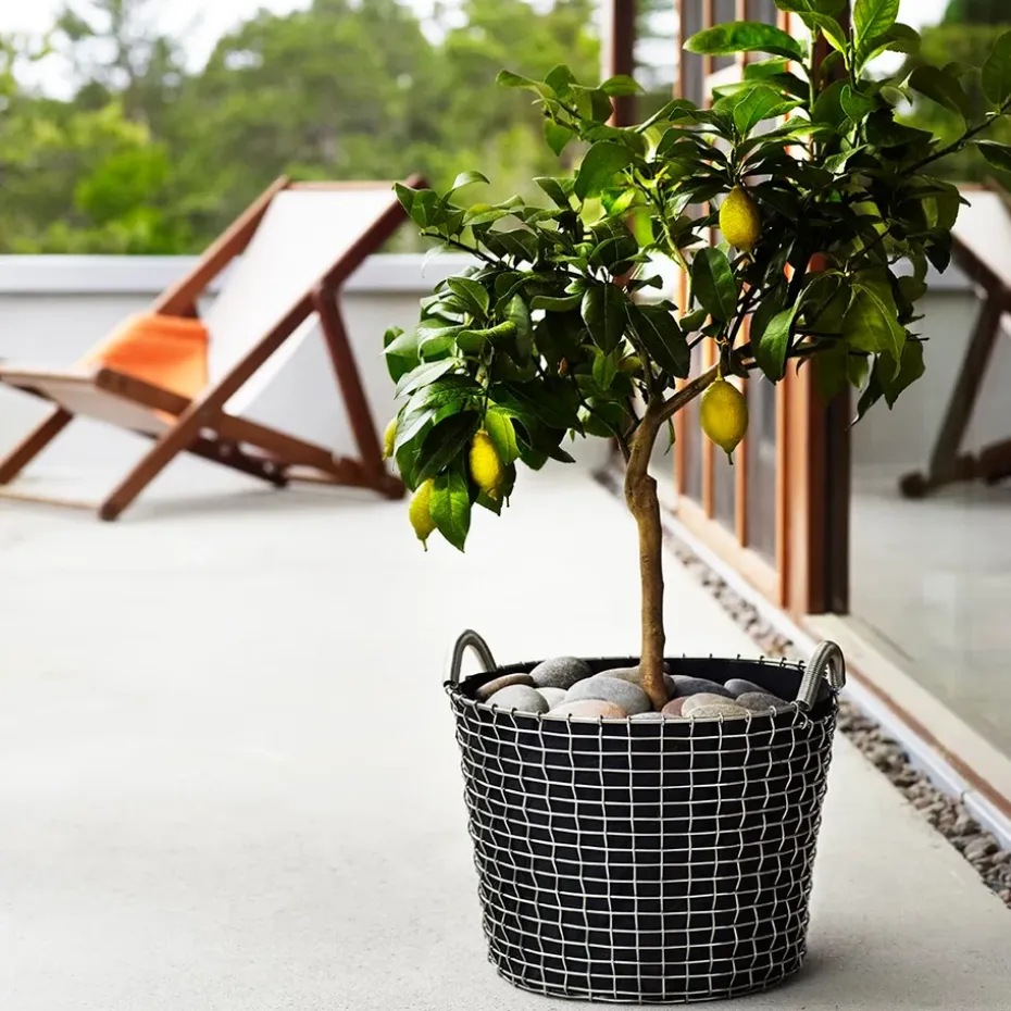 Cesta de alambre Korbo Classic 24, acero galvanizado