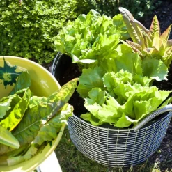 Cesta de alambre Korbo Classic 24, acero galvanizado