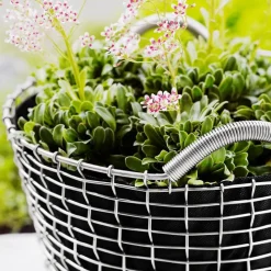 Cesta de alambre Korbo Classic 50, acero galvanizado