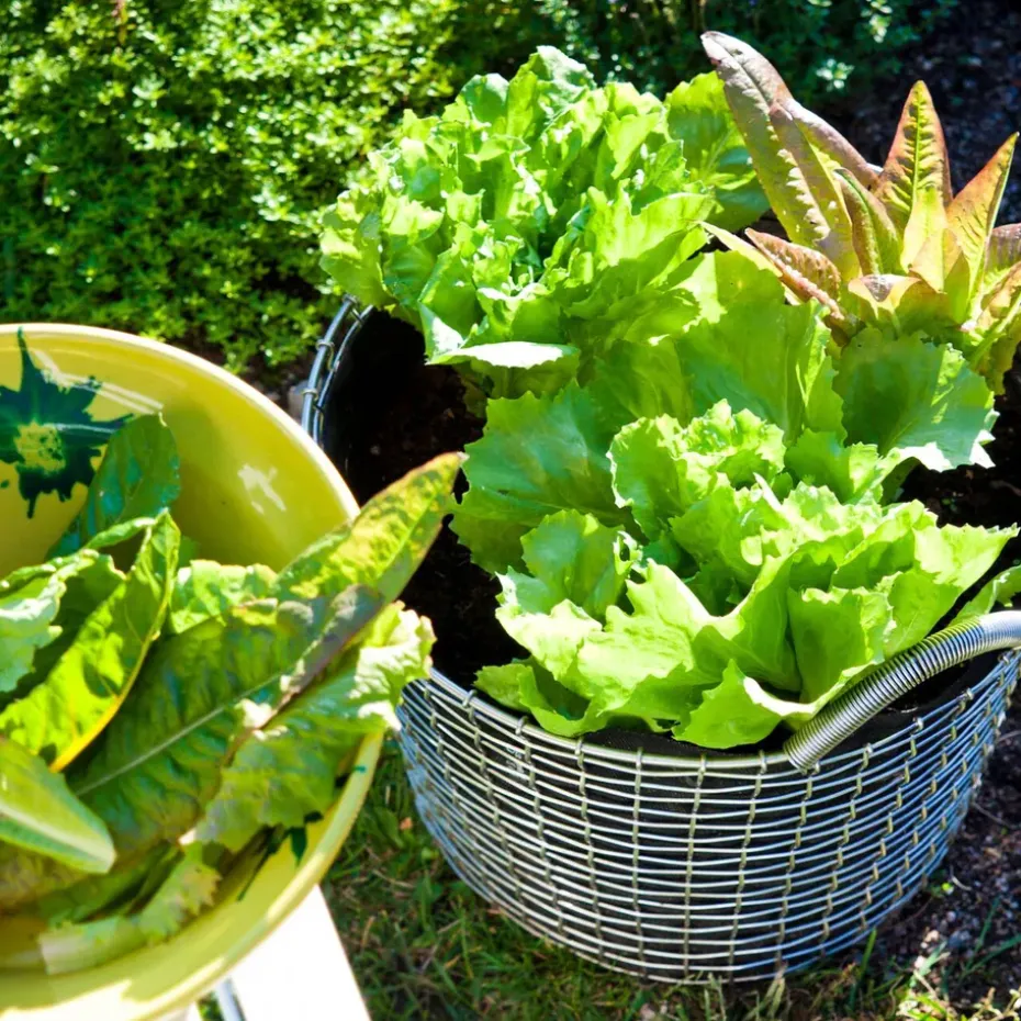 Cesta Korbo Bin 24, acero galvanizado