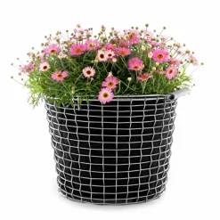 Cesta Korbo Bucket 16, acero resistente a los ácidos