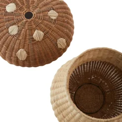 Cesta Mushroom, Nature