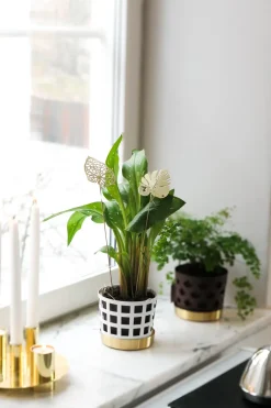 Decoración Brass leaves, set de 2, Water