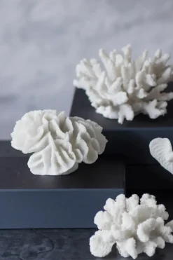 Decoración Coral branches white, Large