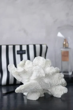 Decoración Coral fan, White