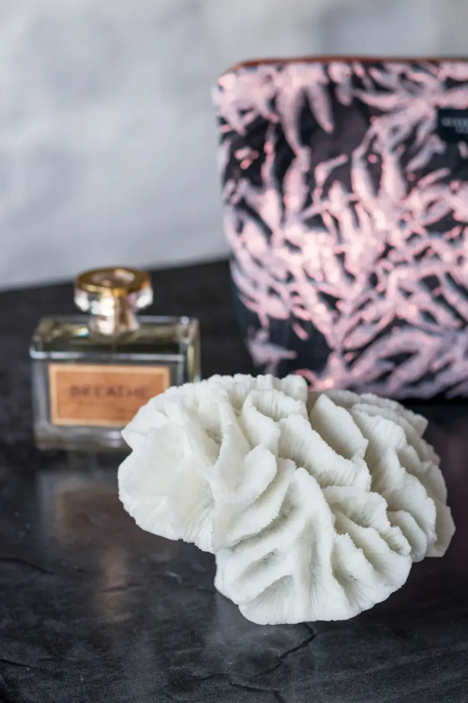 Decoración Coral gills, White