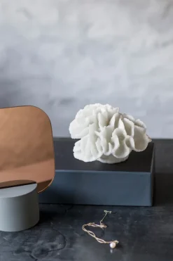 Decoración Coral gills, White