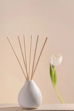 Difusor con varillas Volant 150 ml, Fresh Zest