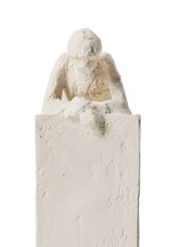 Escultura Astro, Acuario