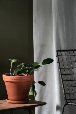 Globo de riego Muurla 15 cm, Verde