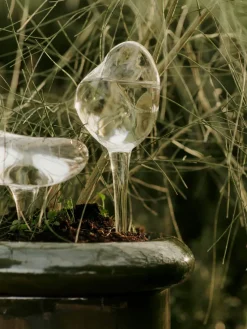 Globos de riego Mercury 2 piezas, Clear, 15x24 cm