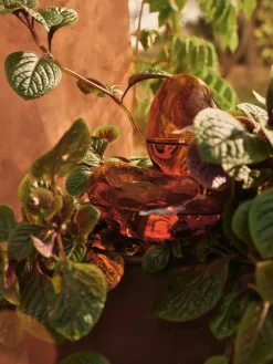 Globos de riego Mercury 2 piezas, Amber, 15x24 cm