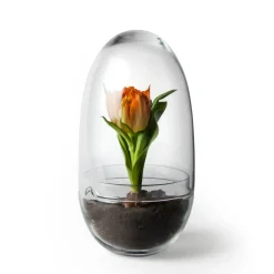 Invernadero Grow, Medium ø11 cm