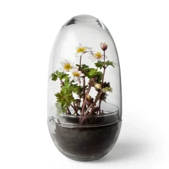 Invernadero Grow, Medium ø11 cm