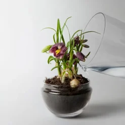 Invernadero Grow, Medium ø11 cm