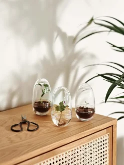 Invernadero Grow, Pequeño ø8 cm