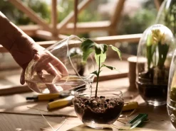 Invernadero Grow, Pequeño ø8 cm