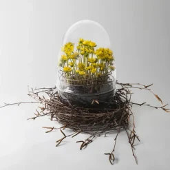 Invernadero Grow, x-large Ø20 cm