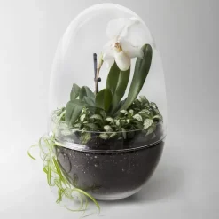 Invernadero Grow, x-large Ø20 cm