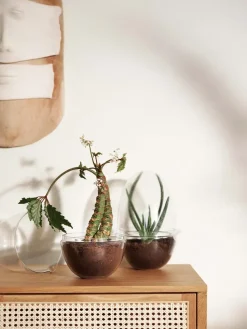 Invernadero Grow, x-large Ø20 cm