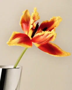 Jarrón Lituus large 34,2 cm, Acero inoxidable