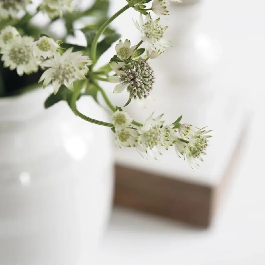 Jarrón Omaggio perla, mediano