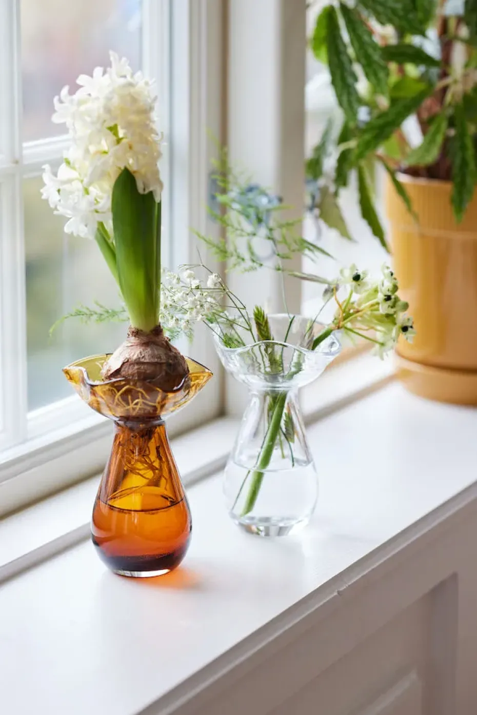 Jarrón Viva mini 14 cm, Transparente