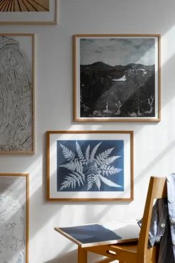 Lámina Fern star, 40x50 cm