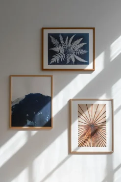 Lámina Fern star, 40x50 cm