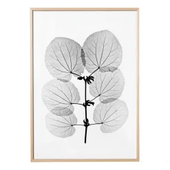 Lámina Katsura, 70x100 cm