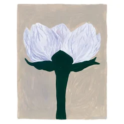 Lámina Slåtterblomma, 40x50 cm