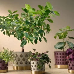 Maceta beige con plato en latón Trio Drop, Small Ø12 cm