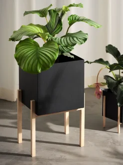 Maceta Botanic pedestal, negro-fresno