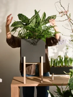 Maceta Botanic pedestal, negro-fresno