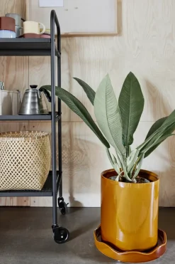 Maceta con base Nami large Ø27 cm, Amber