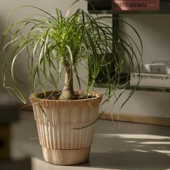 Maceta con plato Atlas raw, Rosa, Ø21 cm