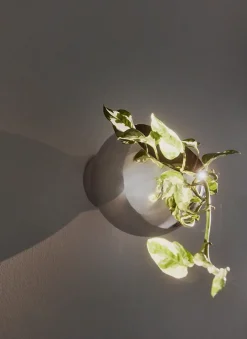 Maceta de pared Globe Ø17 cm, Plata