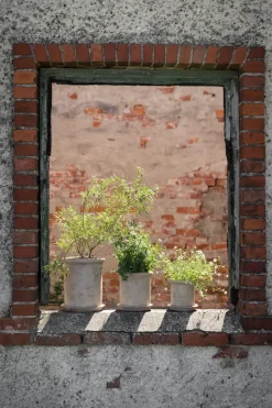 Maceta de terracota Ernst con plato, Ø16×16 cm