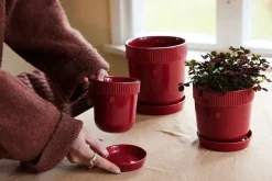 Maceta Elise M Ø17 cm, Burdeos