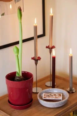 Maceta Elise S Ø14 cm, Burdeos