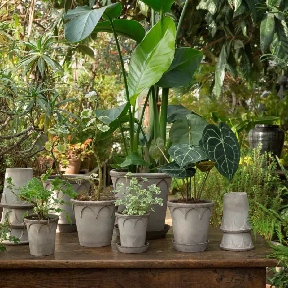 Maceta Elizabeth Ø14 cm, Grey