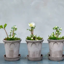 Maceta Elizabeth Ø14 cm, Grey