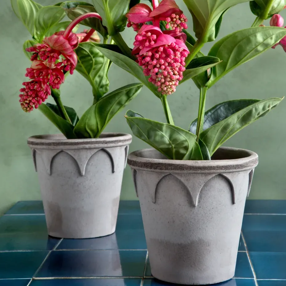 Maceta Elizabeth Ø16 cm, Grey